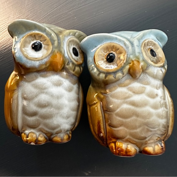 Owl Salt and Pepper Shakers Hand Painted Ceramic Rustic Fall Autumn Decor Colors - Picture 2 of 8
